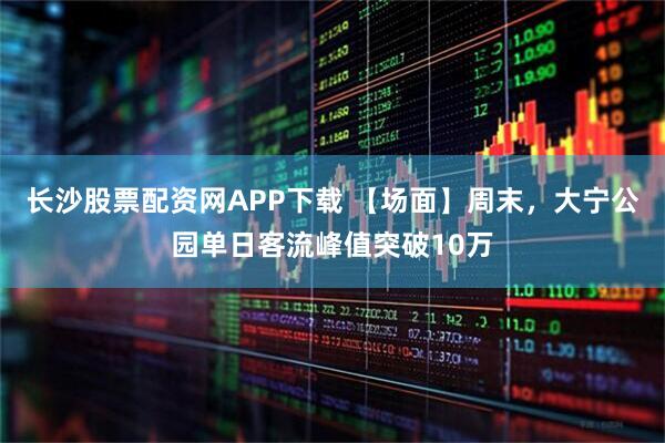 长沙股票配资网APP下载 【场面】周末，大宁公园单日客流峰值突破10万