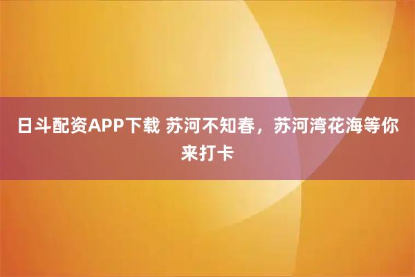 日斗配资APP下载 苏河不知春，苏河湾花海等你来打卡