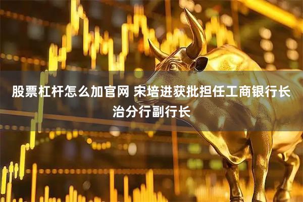 股票杠杆怎么加官网 宋培进获批担任工商银行长治分行副行长