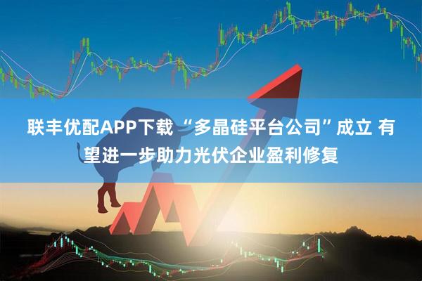 联丰优配APP下载 “多晶硅平台公司”成立 有望进一步助力光伏企业盈利修复